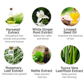 Natural Ingredients for Hair Care - Botanical extracts like horsetail, ginger root, and linseed seed oil for hair strengthening and shine.